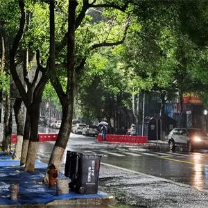 11月29日雨中的执勤岗