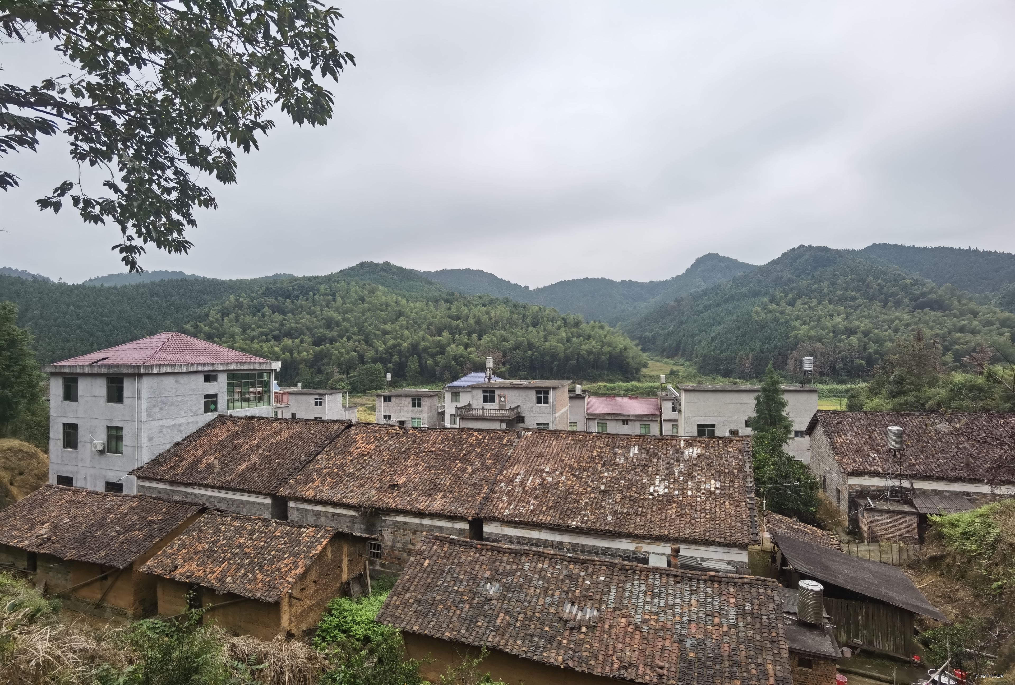 后山远眺